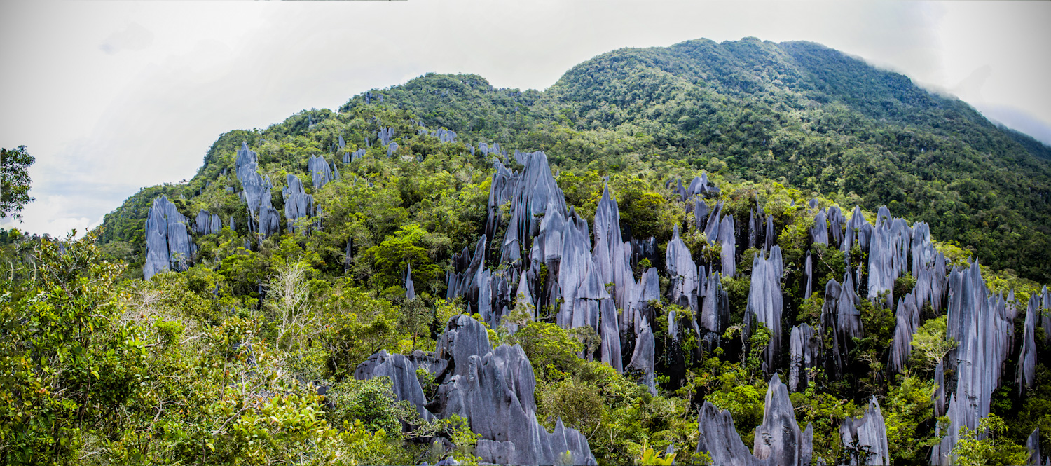Mulu National Park